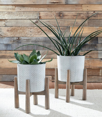 Domele Planter (Set of 2) - Dream Furniture Outlet