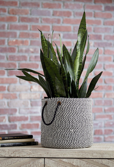 Eider Basket - Dream Furniture Outlet