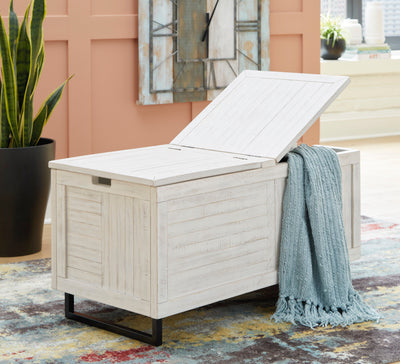 Coltport Storage Trunk - Dream Furniture Outlet