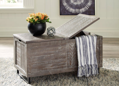 Coltport Storage Trunk - Dream Furniture Outlet