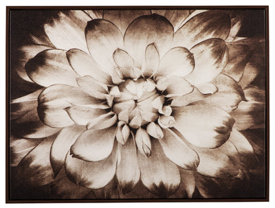 Phiala Wall Art - Dream Furniture Outlet