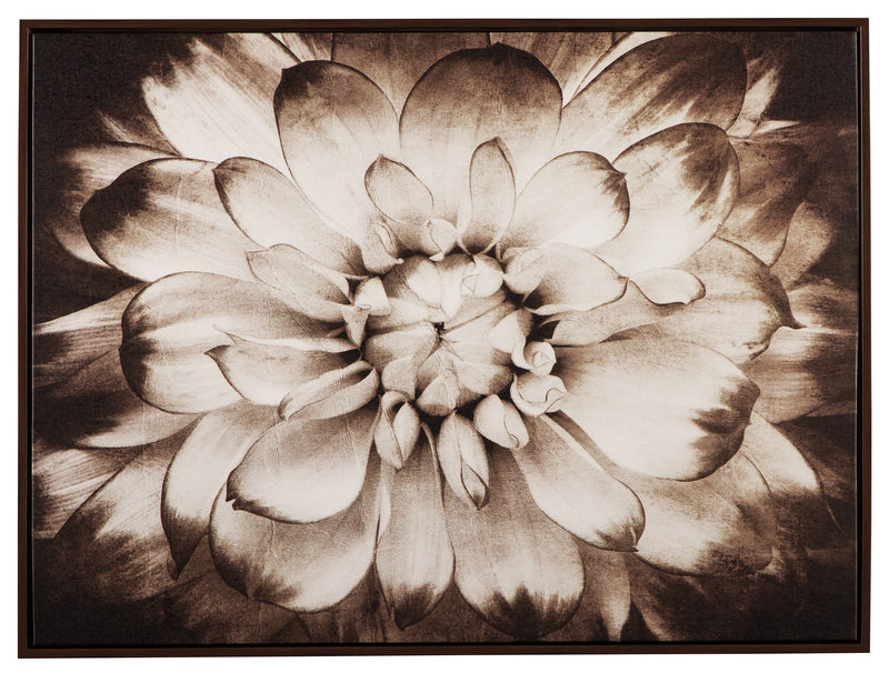 Phiala Wall Art - Dream Furniture Outlet