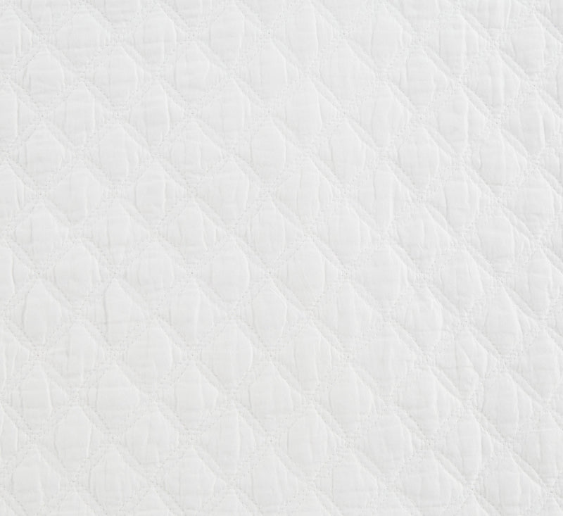 Ryter Queen/Full Coverlet Set - Dream Furniture Outlet