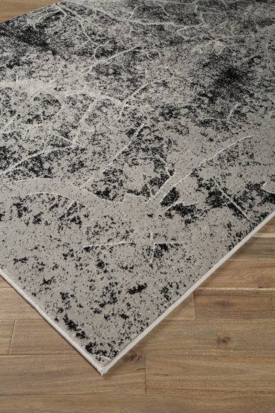 Cailey 8' x 10' Rug - Dream Furniture Outlet